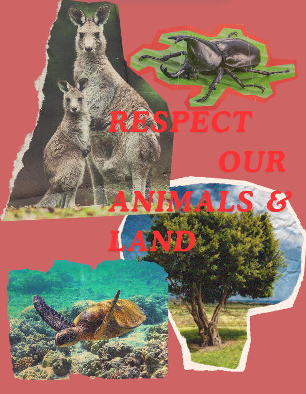 Respect Australia’s Nature: Kangaroo & Turtle