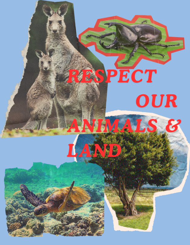 Respect Australia’s Nature: Kangaroo & Turtle