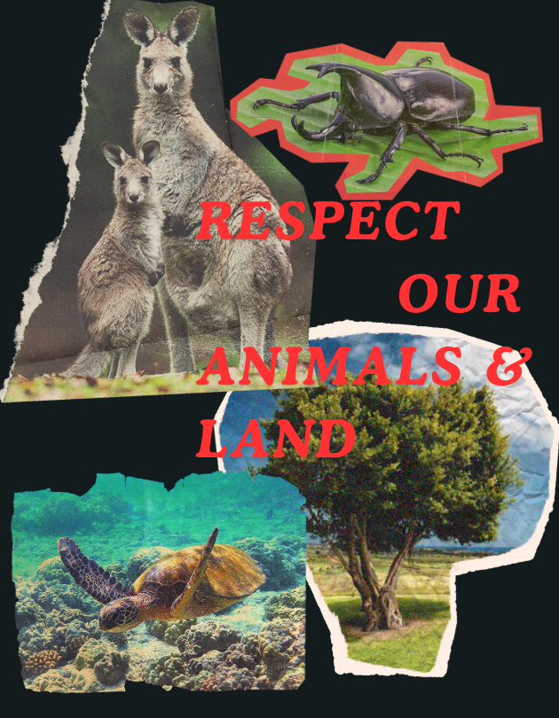 Respect Australia’s Nature: Kangaroo & Turtle