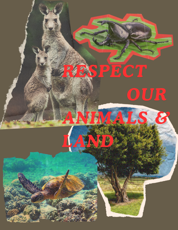 Respect Australia’s Nature: Kangaroo & Turtle
