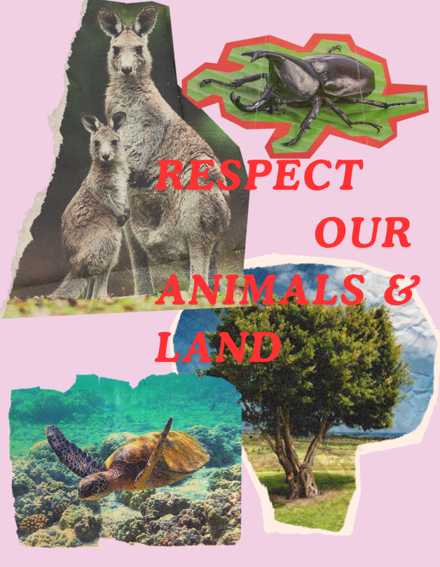 Respect Australia’s Nature: Kangaroo & Turtle
